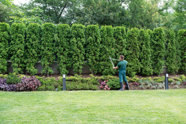 Lawn Pest Prevention in River Hills, WI